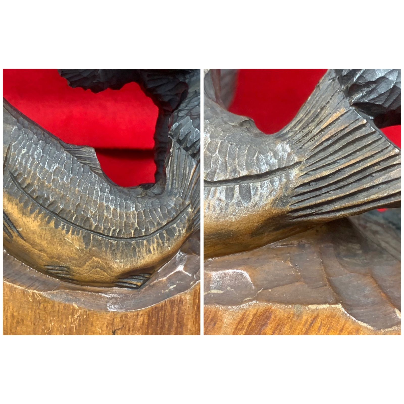 熊