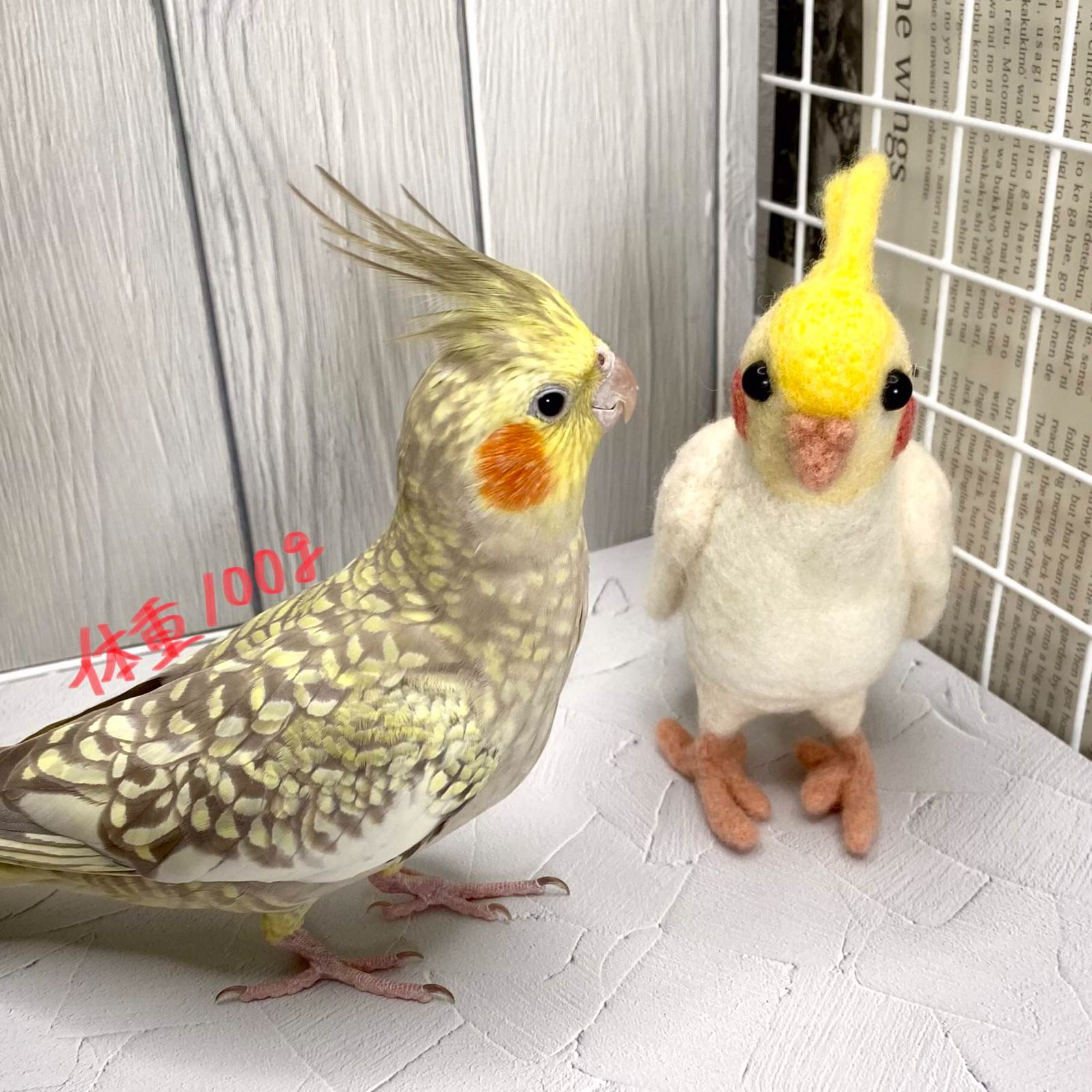 87%OFF!】インコちゃんのカミカミおもちゃ☆ 鳥用品 | socearq.org