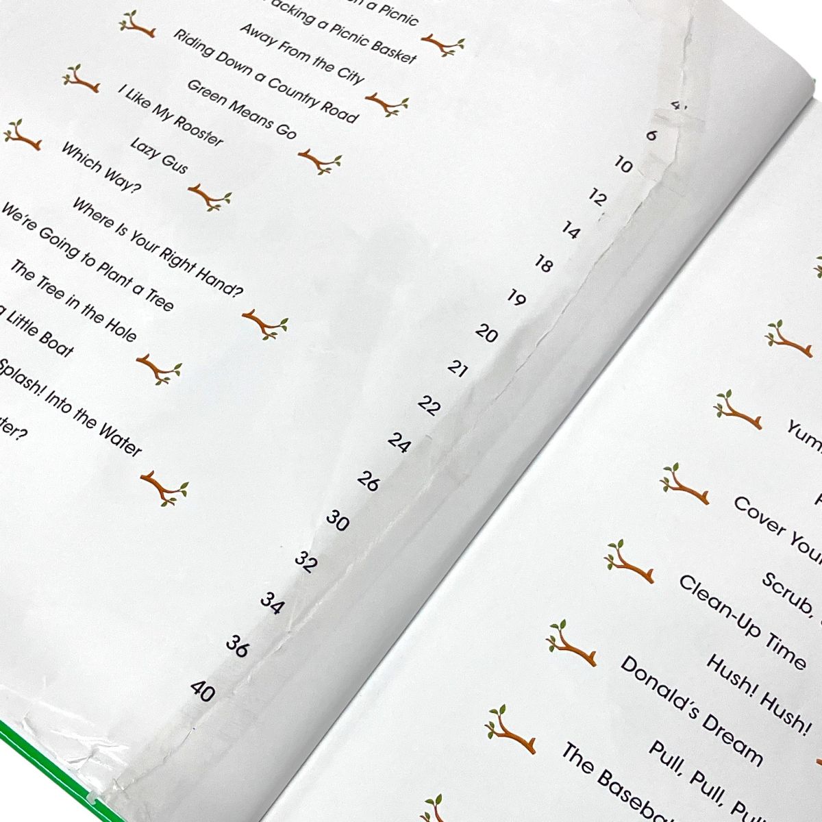  DWE シングアロング ディズニー ワールド イングリッシュ 頃 こども 英語 教材 知育玩具 ベビー キッズおもちゃ