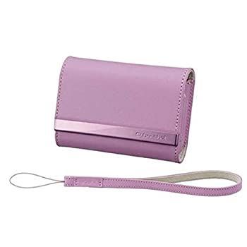 非売品】B.L.T. Sweet 6 Girls オフショットDVD 市川由衣 若槻千夏