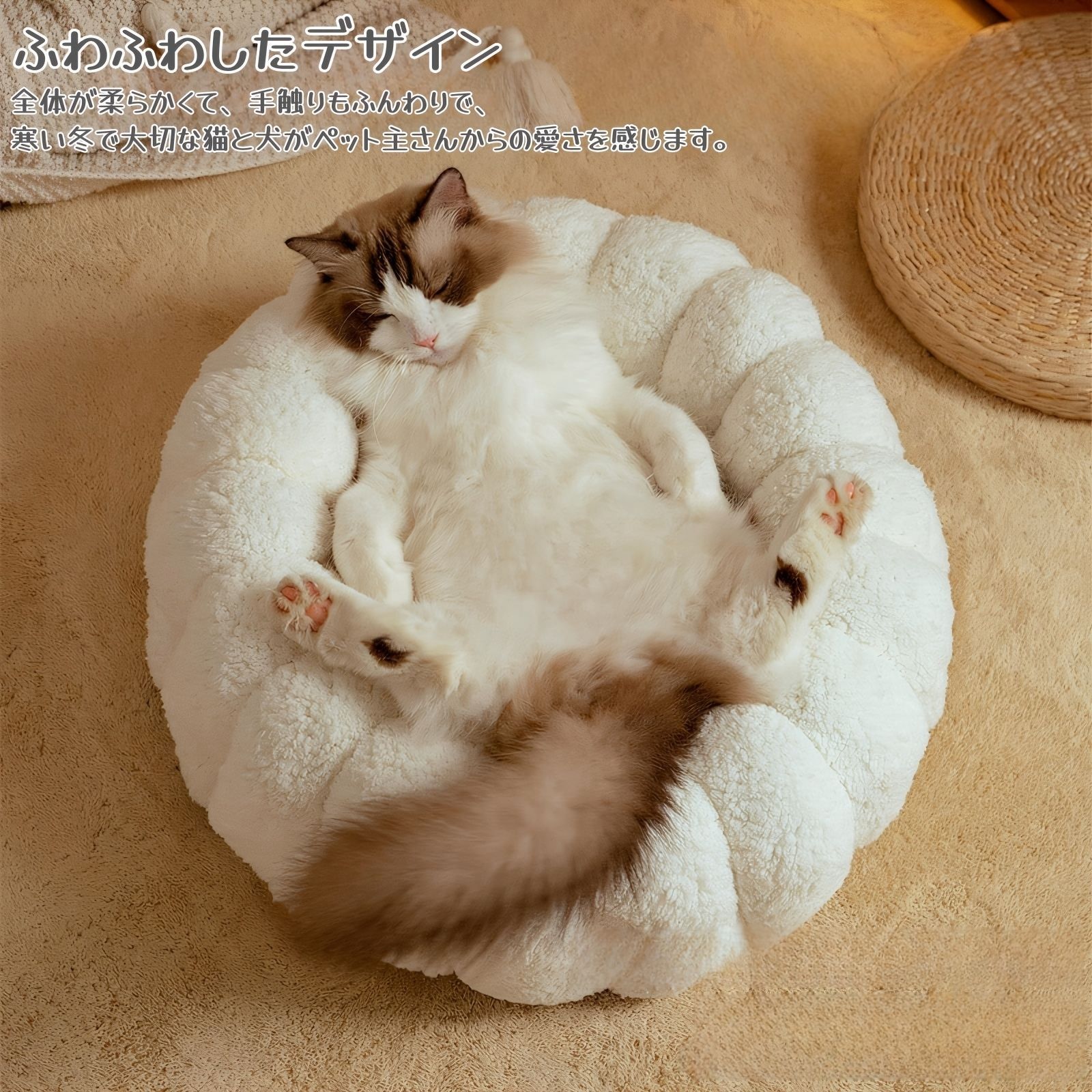 猫 キャット