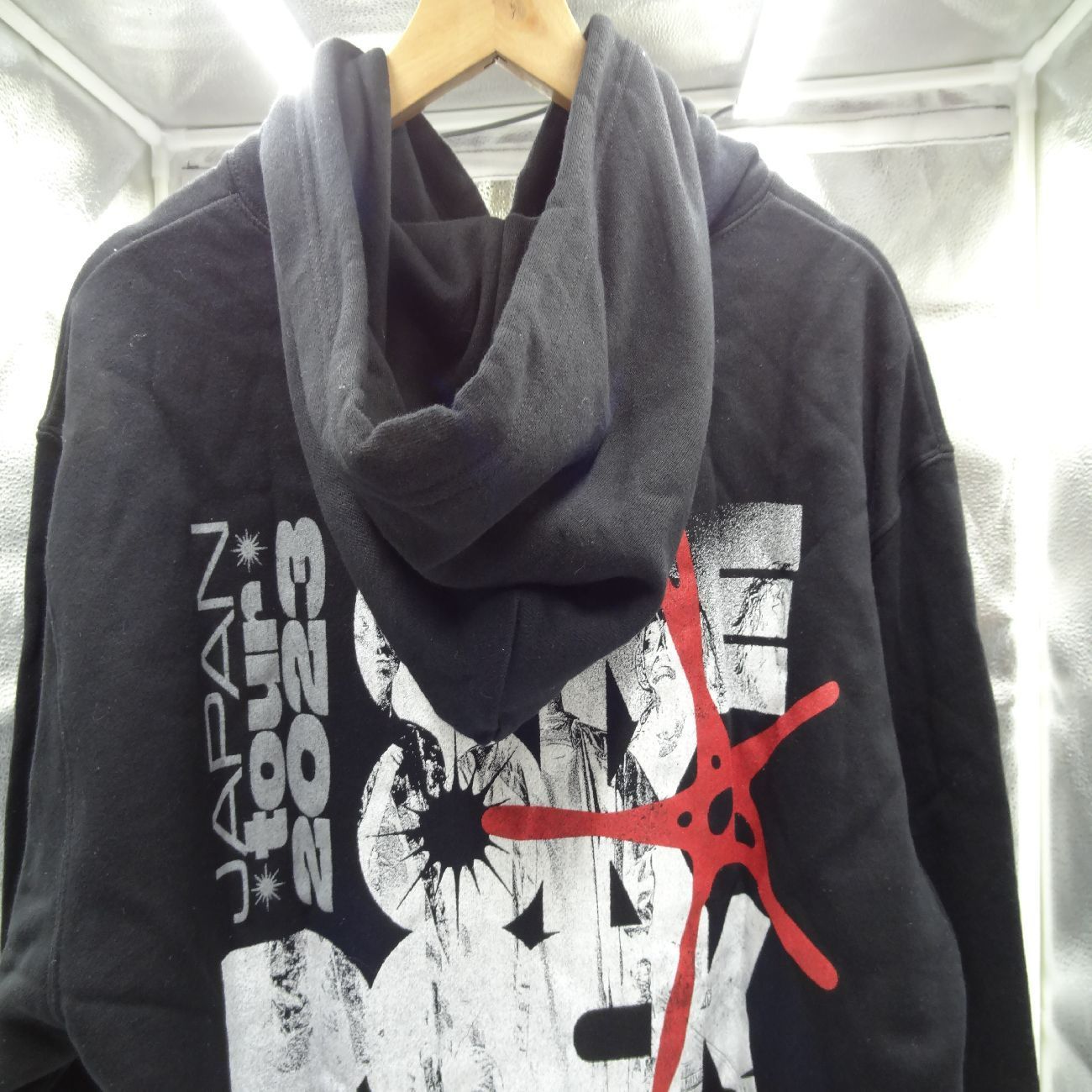 ONE OK LOCK ワンオク ワンオクロック LUXURY DISEASE ツアー