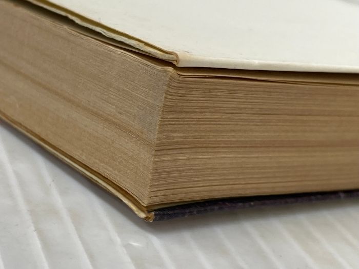 イタミ有 モンゴルの残光 (ハヤカワ文庫JA) 早川書房 豊田 有恒