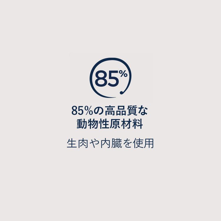 PEAK 正規販売店