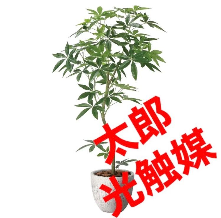 光触媒 人工観葉植物 ウォールグリーン フェイクグリーン 特大バナナ