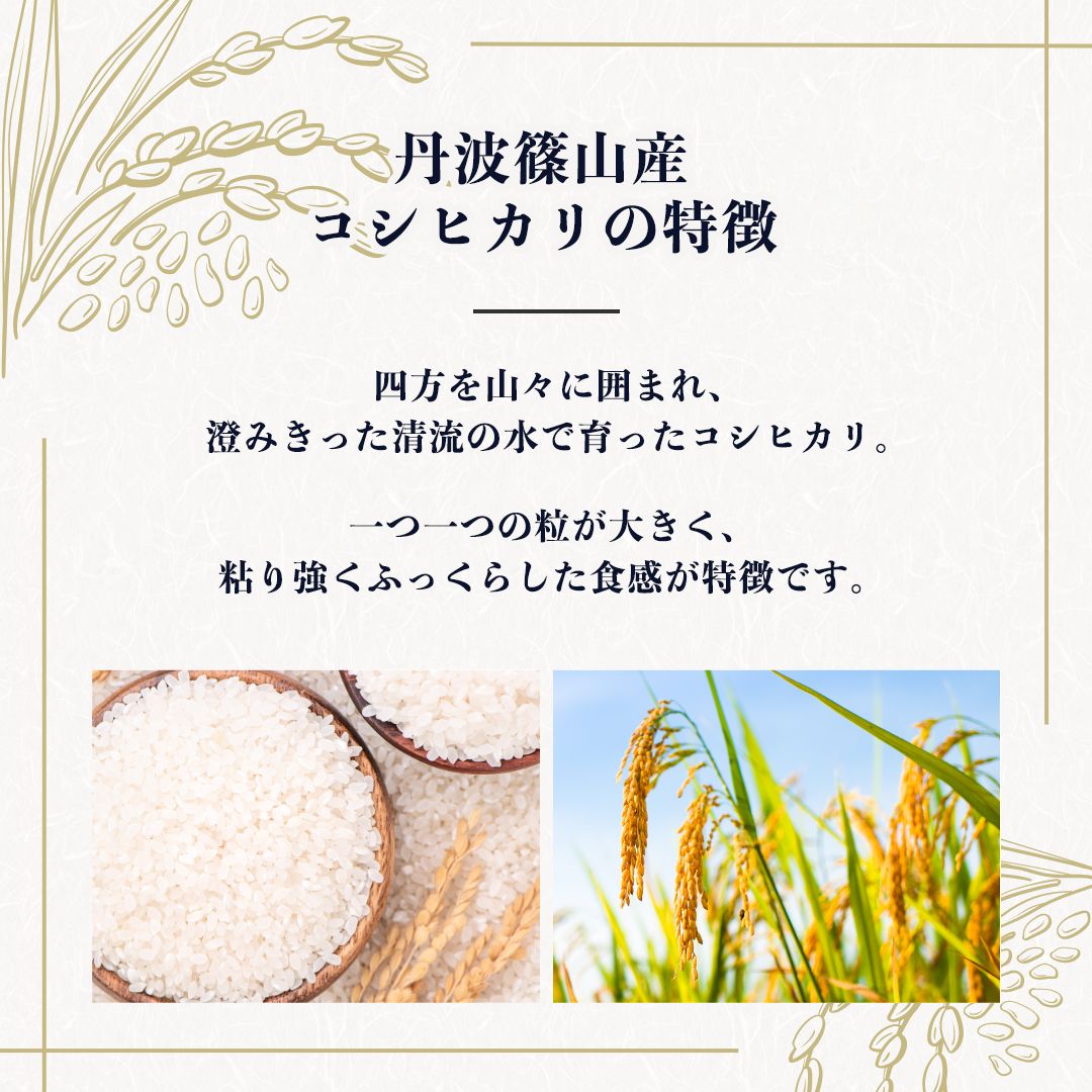 食品 丹波篠山産コシヒカリ【10kg】白米 /玄米 令和7年産 / 減農薬