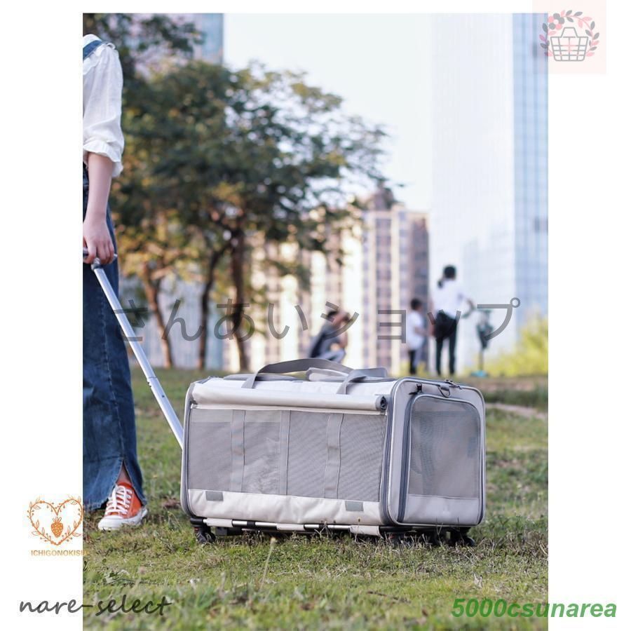 ホイエロール付き