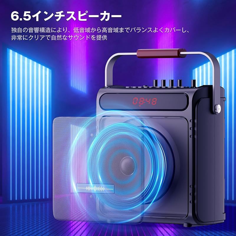 5.3対応 ワイヤレスマイク２本