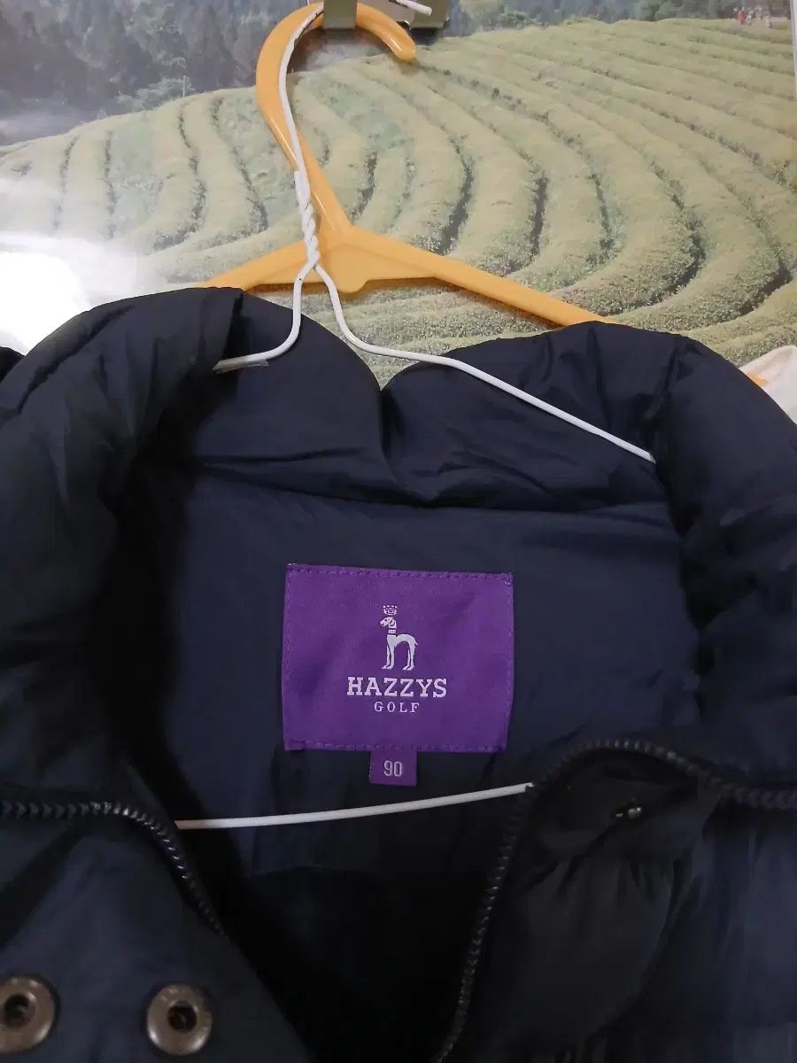 レディースダウン