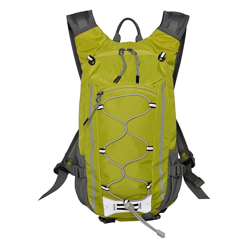 たかちむ様専用】井筒鳳斉 コレクション 鷹ヶ峰蒔絵 大棗 立上り雲錦