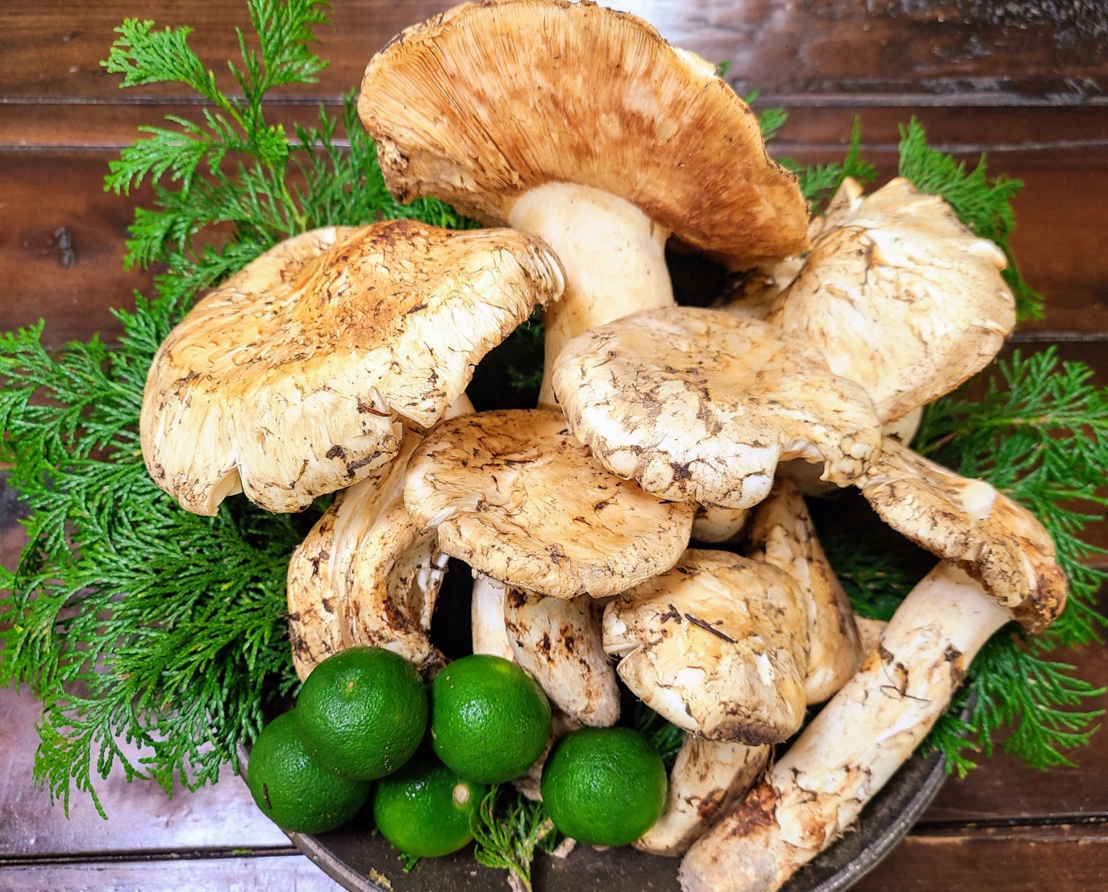 カナダ3L 2L大 天然 開き松茸 約480 500g前後 3 9本