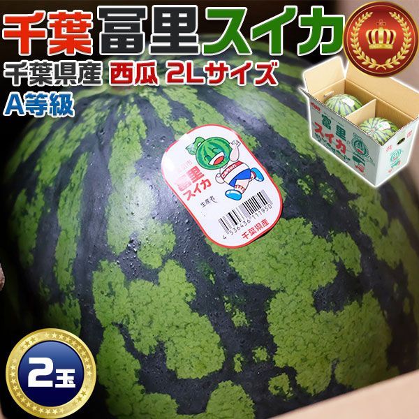 お中元 冨里スイカ 千葉県産 富里すいか A等級 2Lサイズ 7～8kg × 2玉セット 11610393-4 初夏ギフト 遅れてごめんね父の日 ギフト プレゼント 国産 果物 フルーツ 国内産