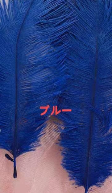 オーストリッチフロート 羽根 社交ダンス モダンダンス オーダー
