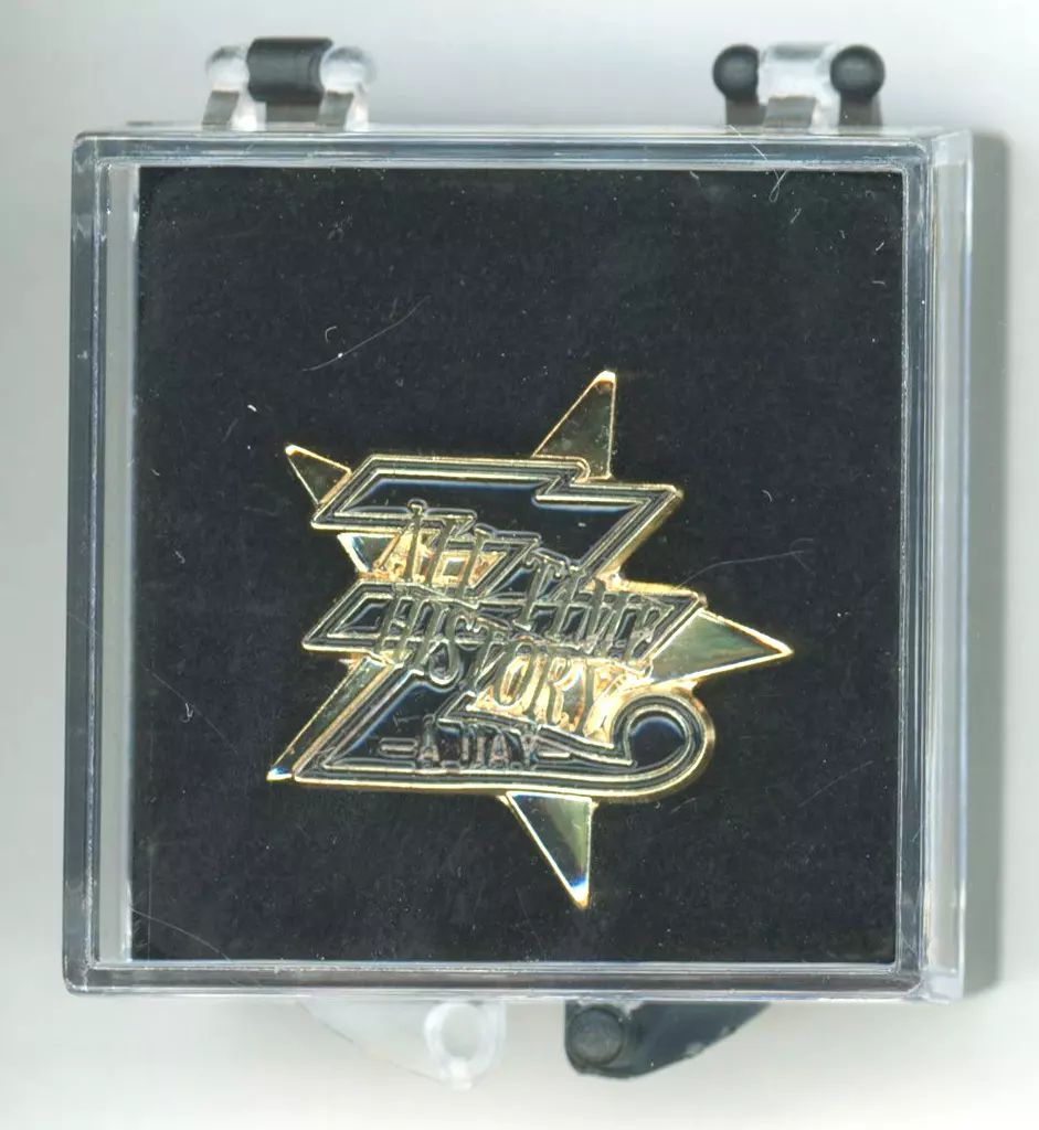 矢沢永吉 ピンバッジ キーホルダー ギター ROCK グッズ SS席 ミニカー