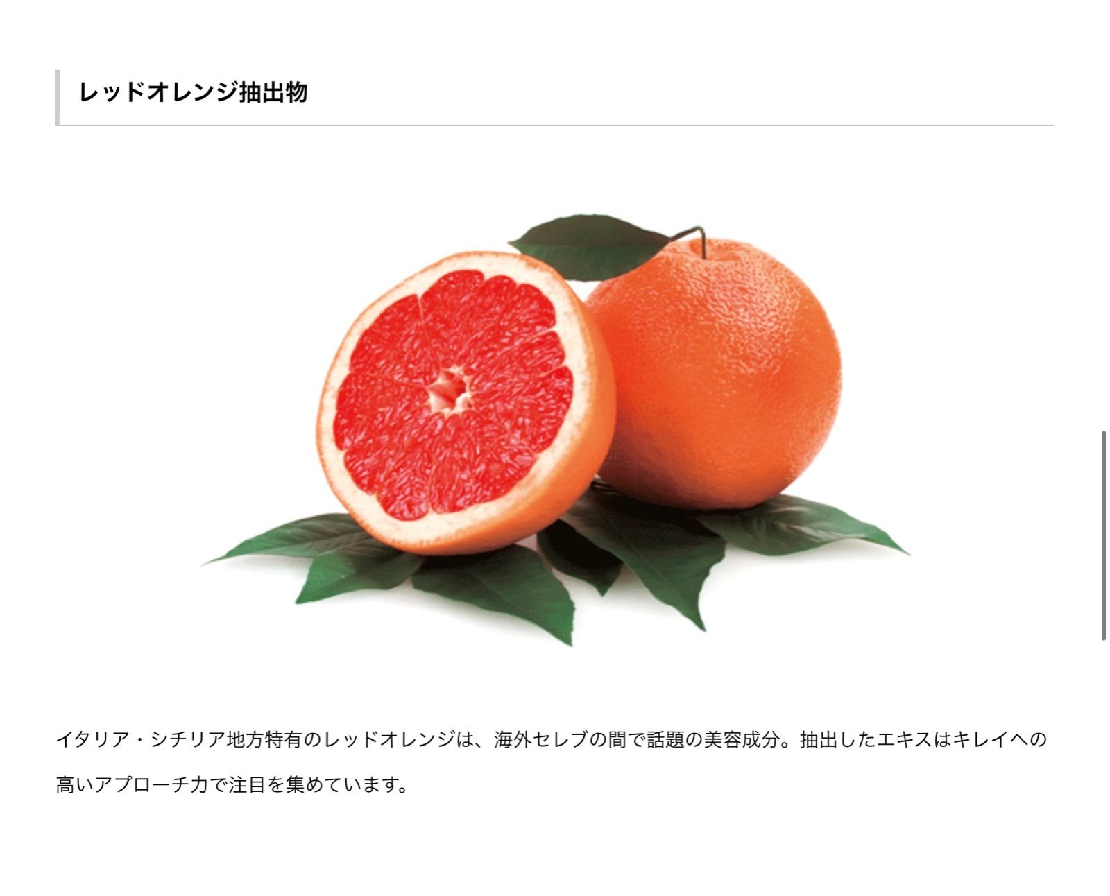 トウ