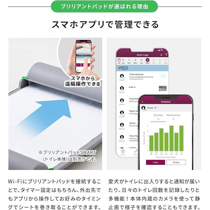 ブリリアントパッド