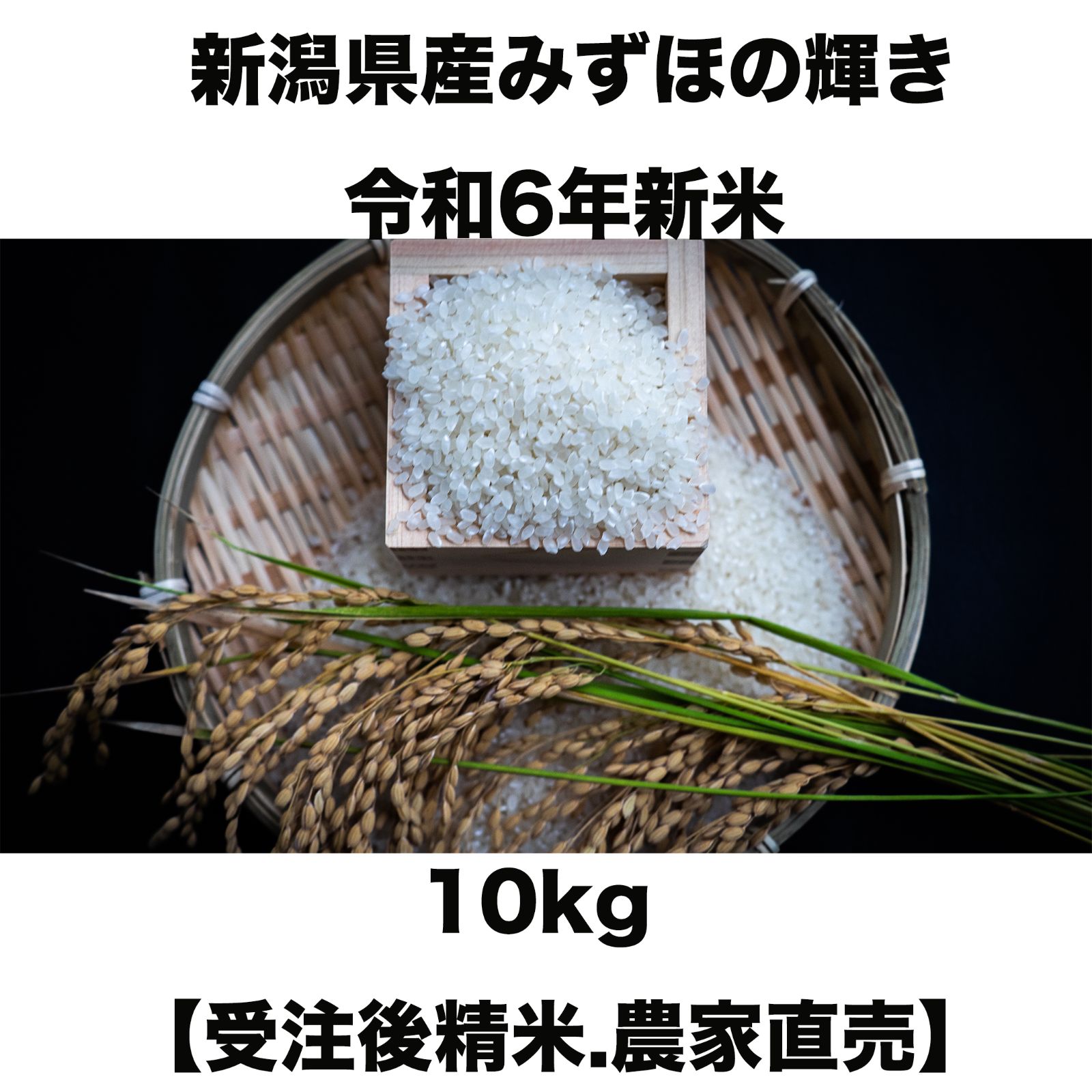 令和5年産 コシヒカリ 20kg 1等米 生産者直売 ☆精米無料