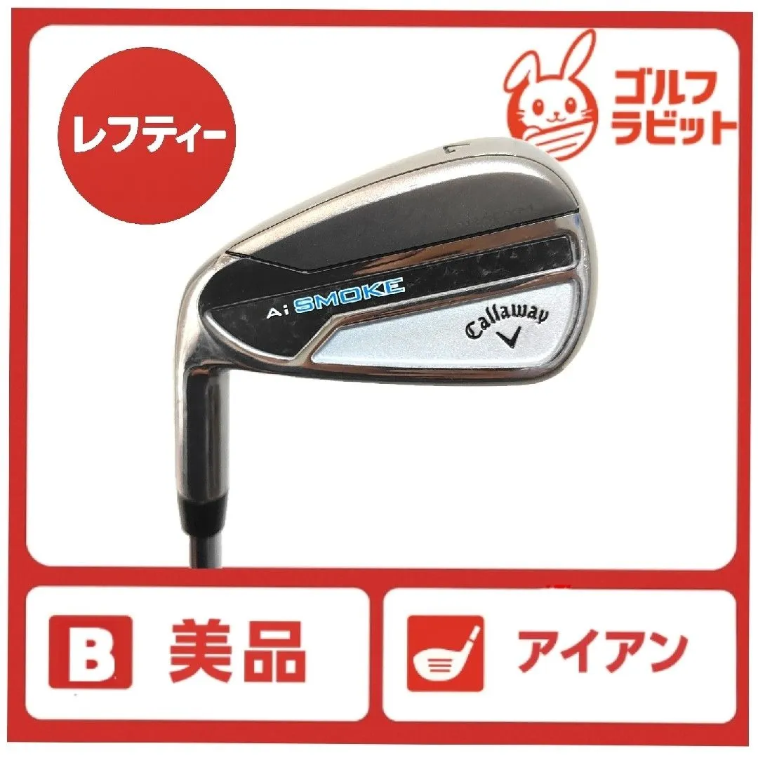 2026年最新】パラダイム アイアン レフティの人気アイテム - メルカリ