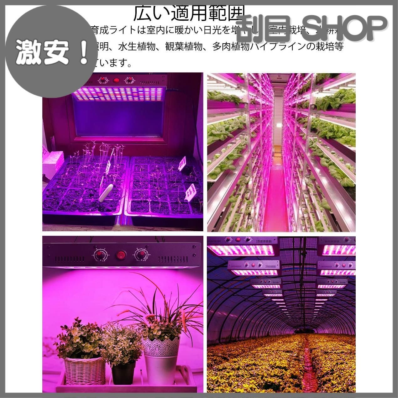 激安！】【プロ版】LED植物育成ライト LED植物ライト 植物育成灯 室内栽培ランプ 1000W 8000LM 調光型 室内水耕栽培ライト 栽培ライト  全フルスペクトル植物ライト 多肉植物育成 2ボタン無段階調光可能 観賞用 育苗/開花/結実全時期適用 日照 - メルカリ