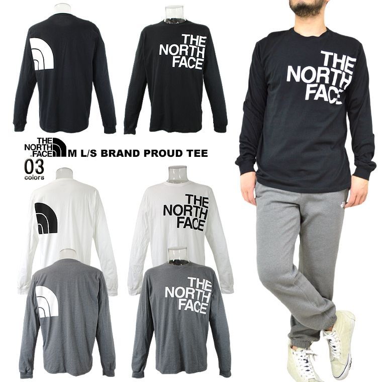 THE NORTH FACE ロングTシャツ 海外限定 ストリート 希少 ロンティー メンズカットソー メンズTシャツ M L/S BRAND PROUD TEE ロンT 長袖 クルーネック ハーフドームロゴ グラフィック ユニセックス 男女兼用 グレー