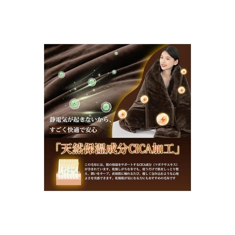 2枚合わせ 襟付き