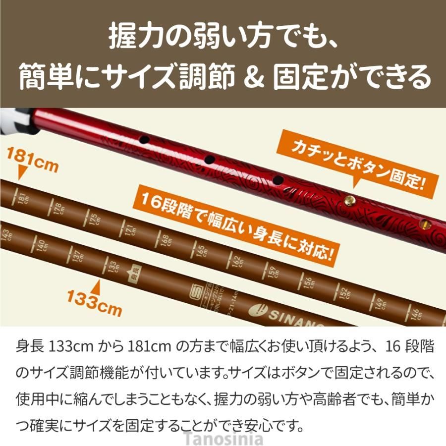 ウォーキング 杖