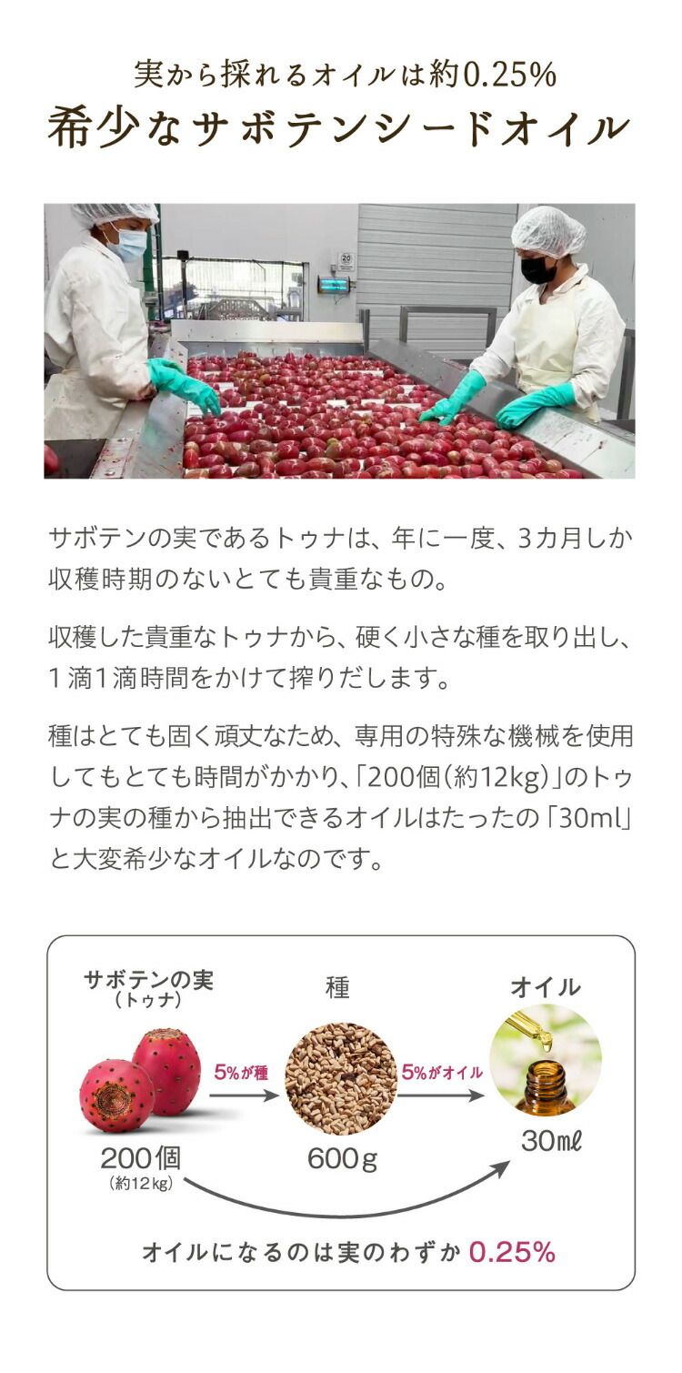 nopa ノパ