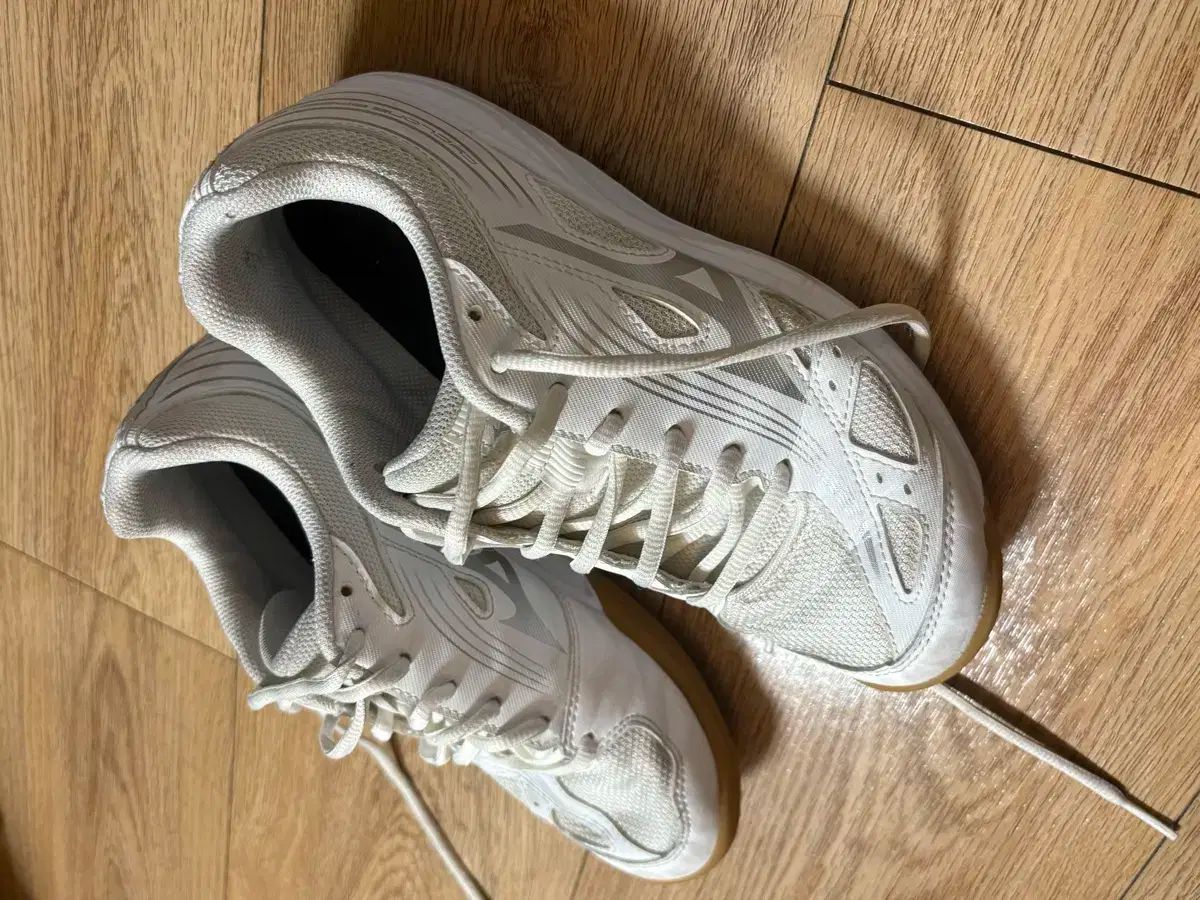 Mizuno