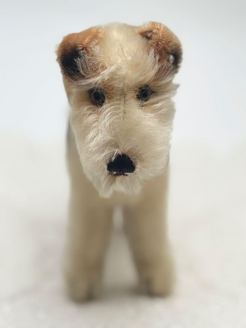 送料無料 シュタイフ Foxy Foxterrier 17cm フォックステリアフォクシー|犬 ビンテージ|アンティーク Steiff|STEIFF