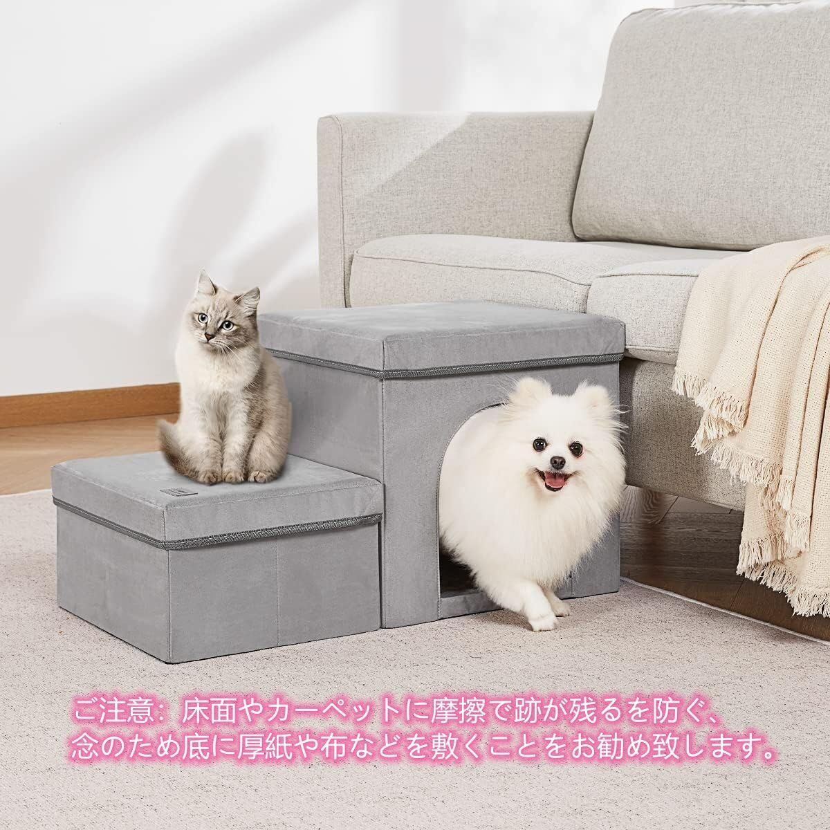 シニア犬