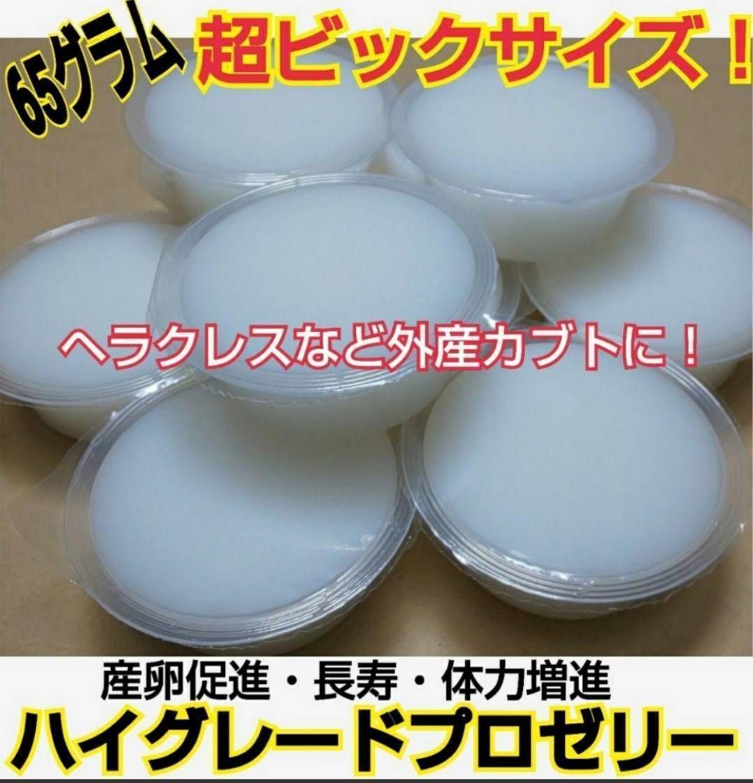 外国産カブトムシに抜群!超特大ゼリー100個☆産卵促進・長寿 外国産カブトムシに抜群!超特大ゼリー100個☆産卵促進・長寿