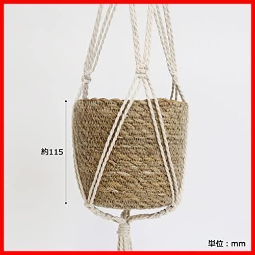 お部屋のインテリアにマッチした観葉植物をハンギング