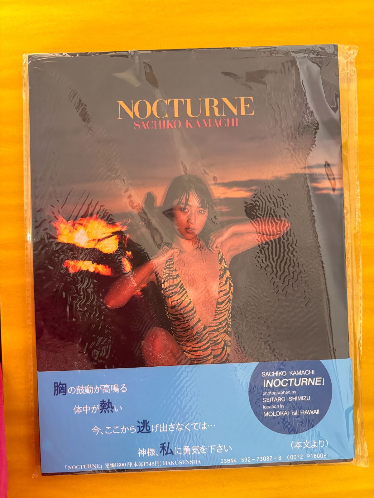 蒲池幸子 みすぼらしく ZARD 坂井泉水 写真集 NOCTURNE 初版