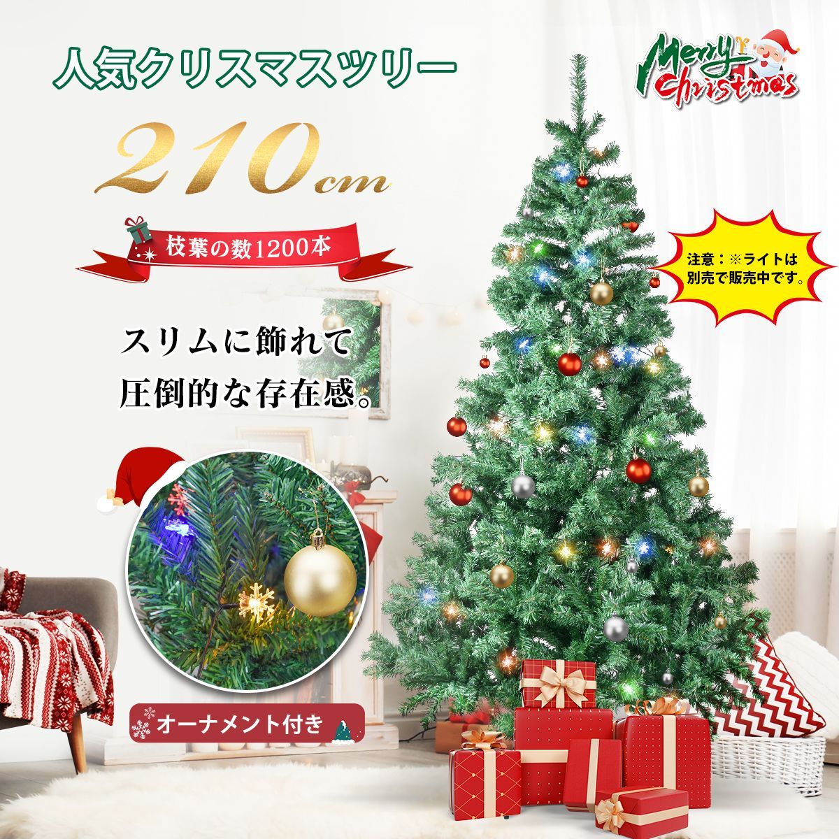 北の蝦夷 赤蝦夷松 苗木 70センチ クリスマスツリーにいかがでしょう