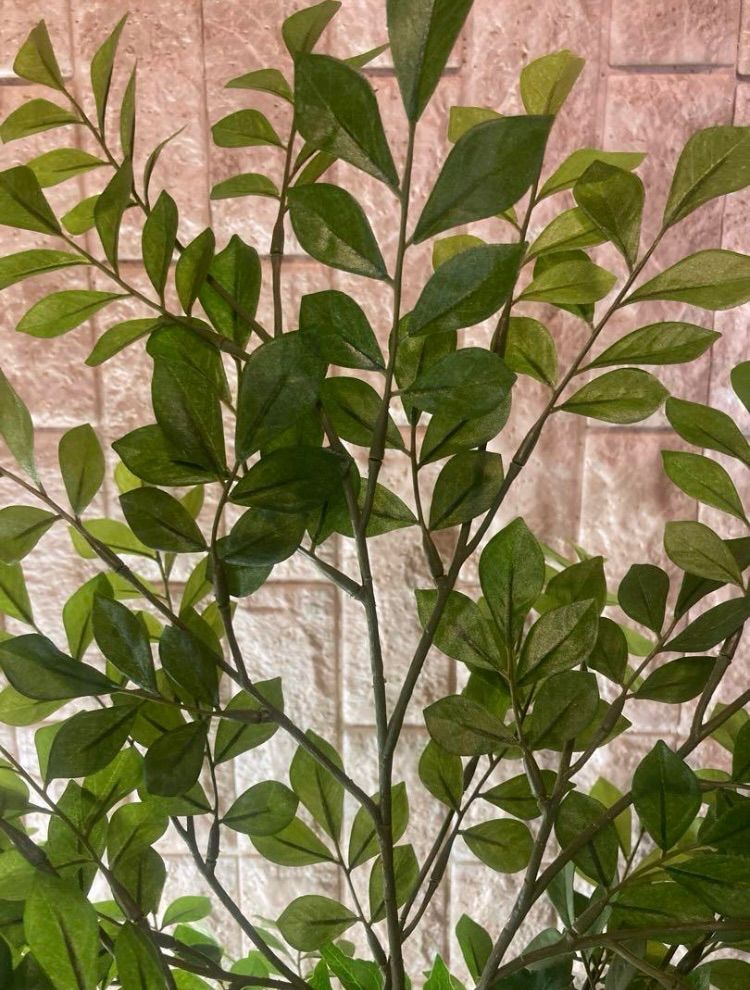 光触媒 人工観葉植物 ウォールグリーン セール中 フェイクグリーン