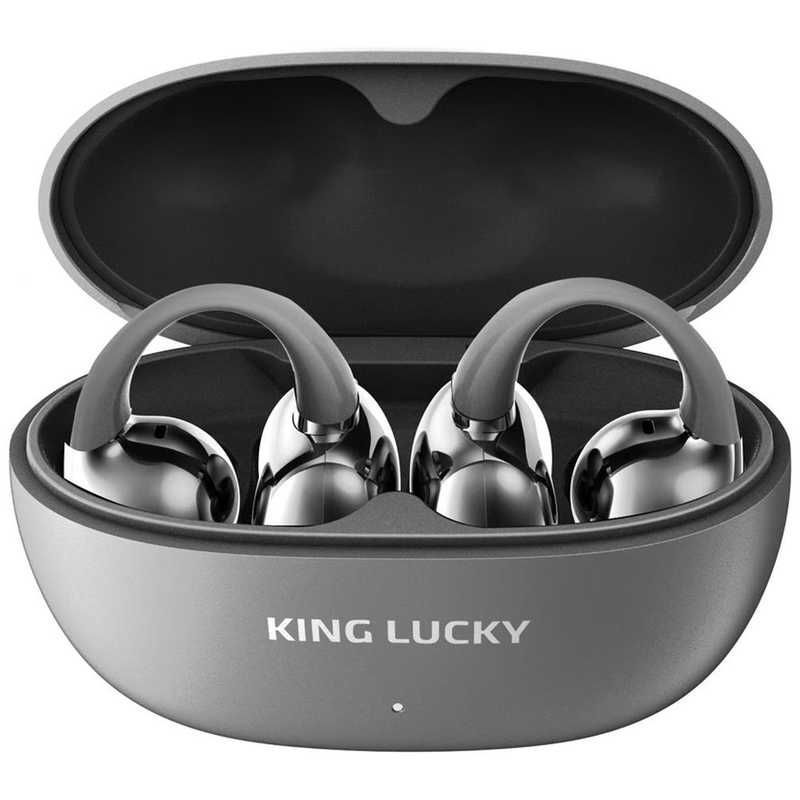 SONY LinkBuds WF-L900 YY2953 ワイヤレスイヤホン ソニー 音響