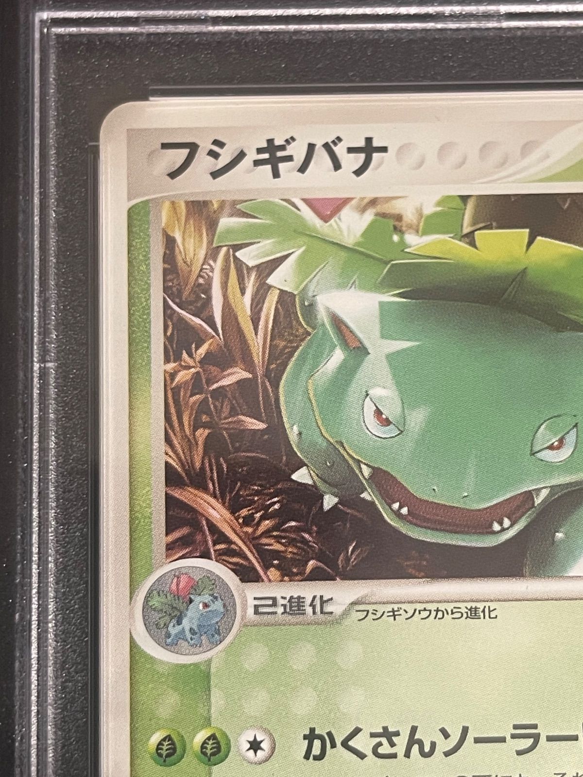 PSA10 フシギバナ プロモ コロコロコミック ポケモンカードジム 003 ポケモンカード 2004年 フシギバナ 003/PCG-P コロコロマガジン