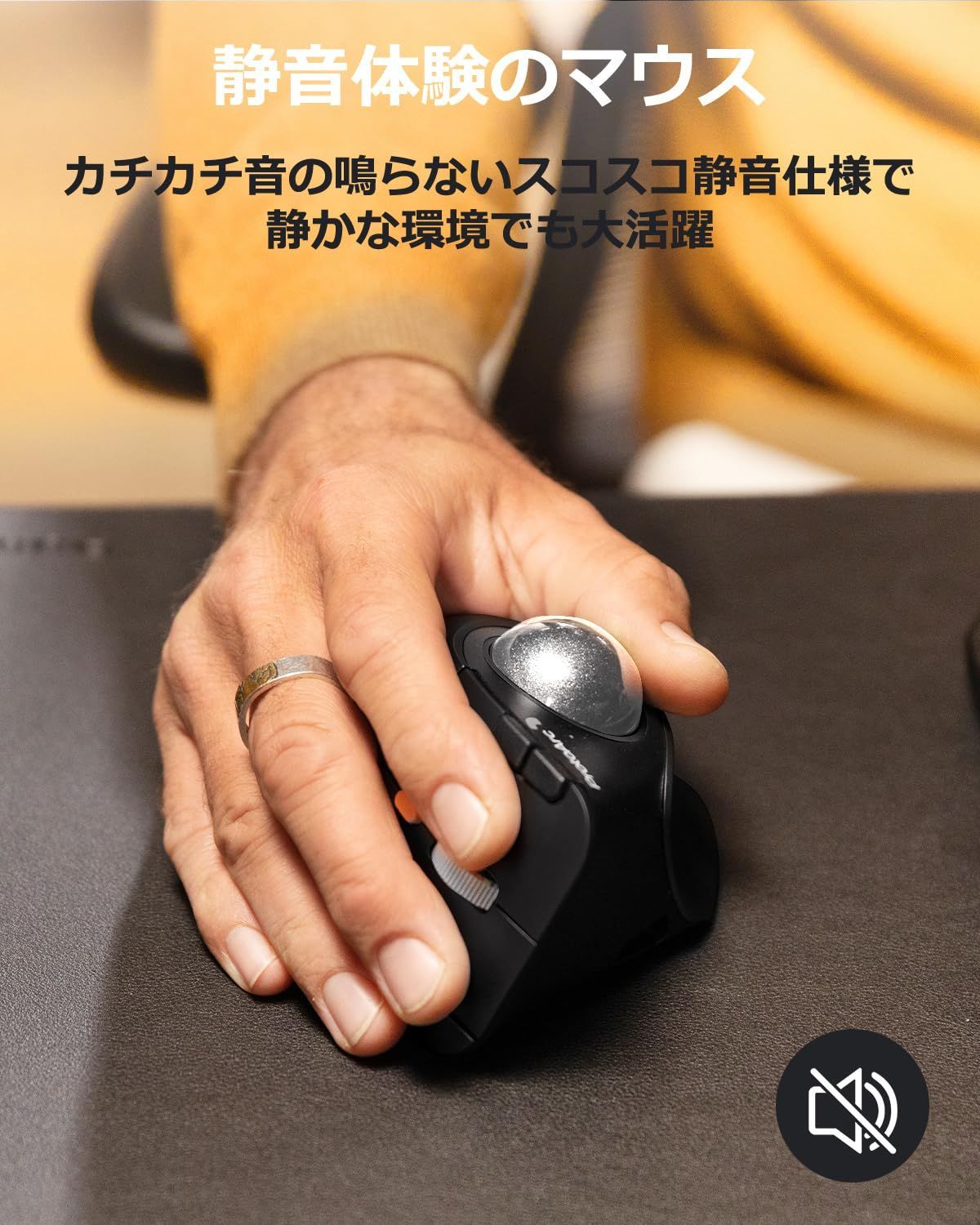 ブラック ぎんはいいろ