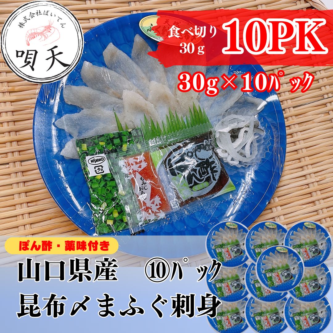 茶道具 三点セット 祥瑞 山水 昭阿彌 （茶碗・振出・茶巾筒）【新品未