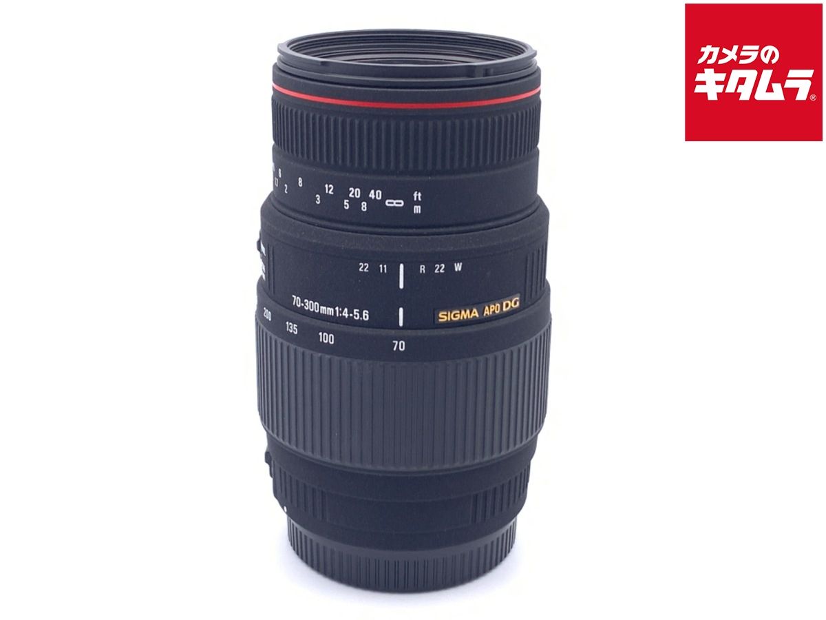 並品 シグマ APO 70-300mm F4-5.6 DG MACRO キヤノン用
