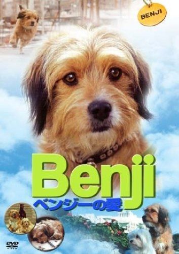 ベンジーの愛 DVD