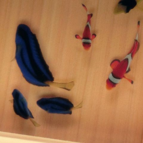 ドリー 縁起物 樹脂金魚 ひのきアート ニモ 海 青 誕生日 ネイビー 