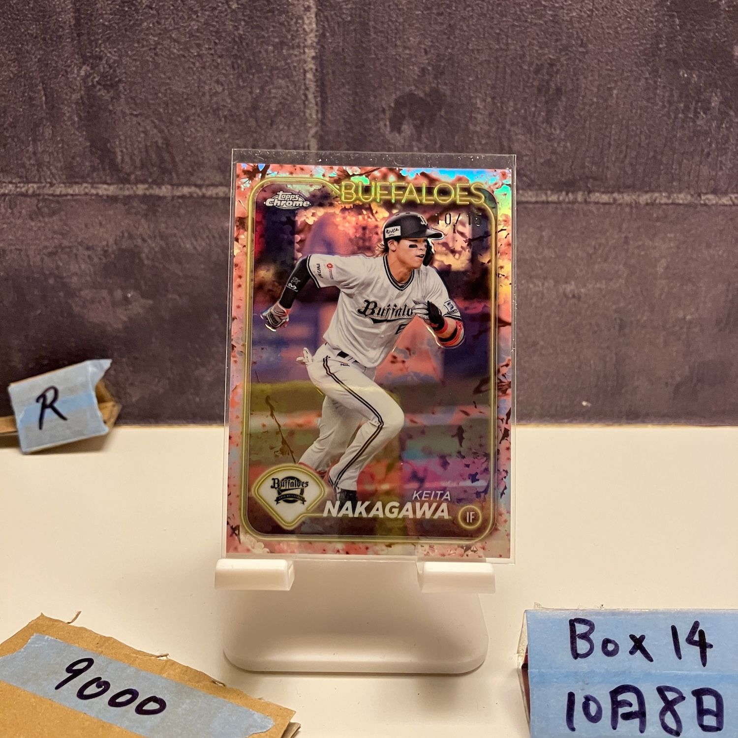 2023 オリックスバファローズカード BOX 2024 BBM オリックス