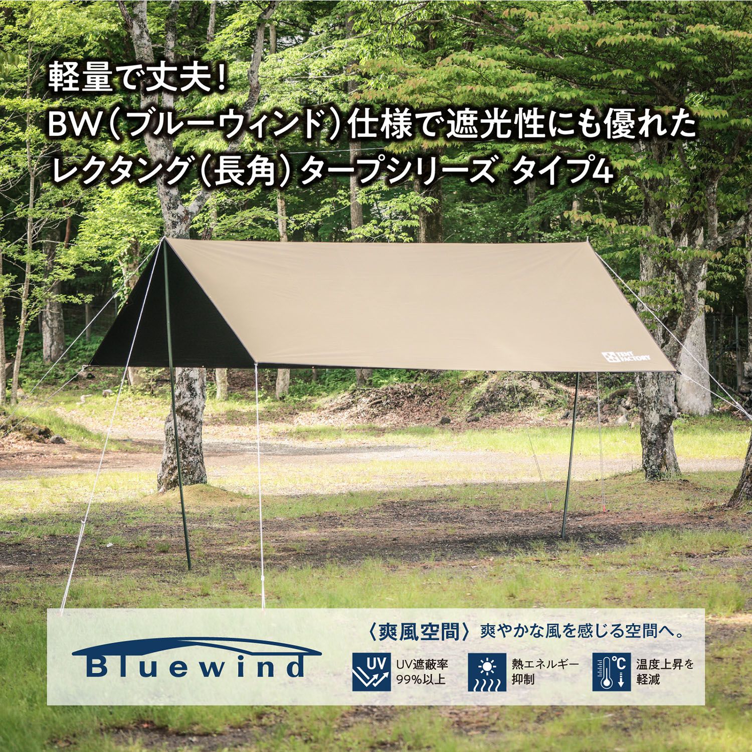 運動会 TFBWT43