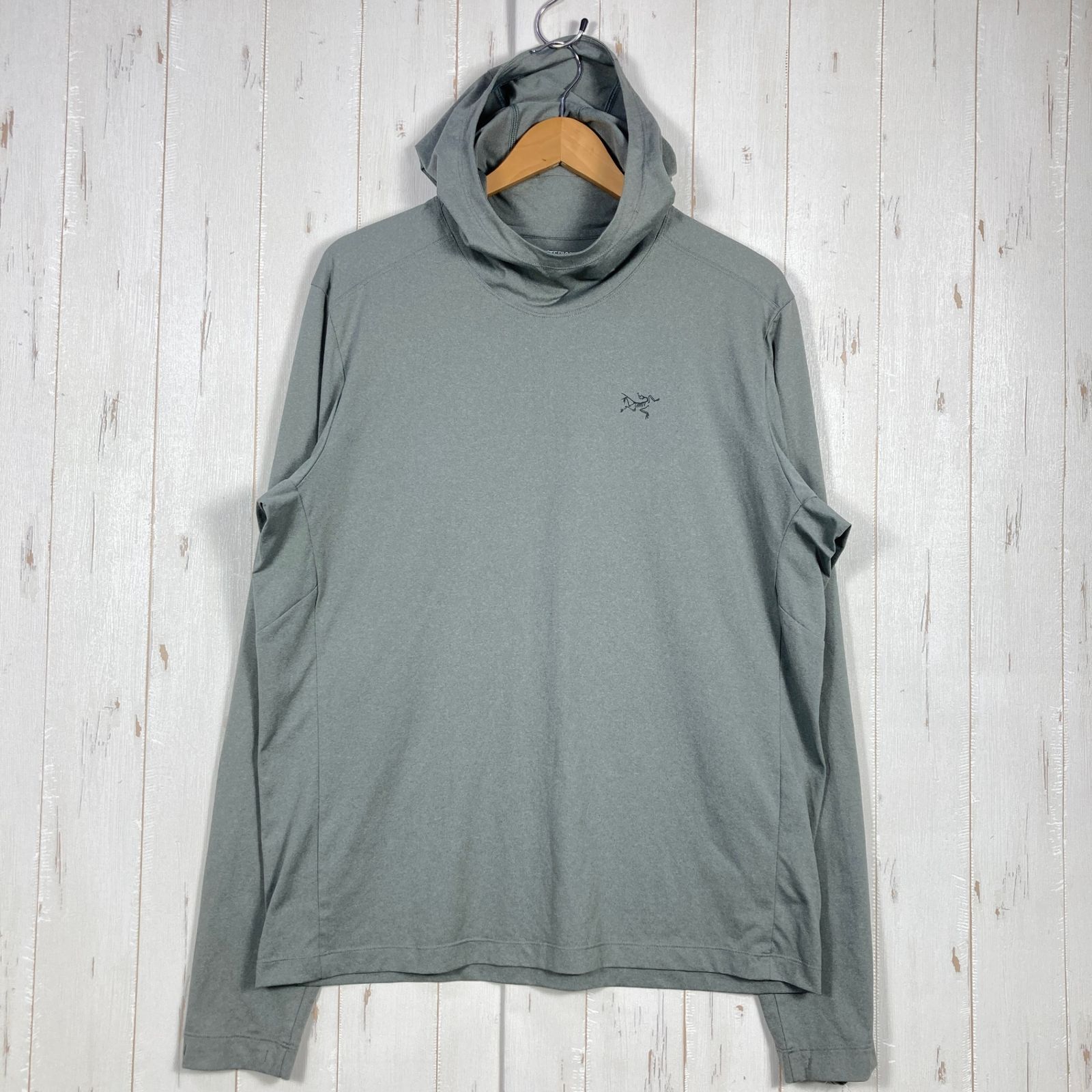 Men s L グレー系 Arcteryx アークテリクス レミージ フーディ Remige Hoody モデル ポリエステル ウェア トップス インナー シャツ フーディ 化繊 z00053786 化繊 フ