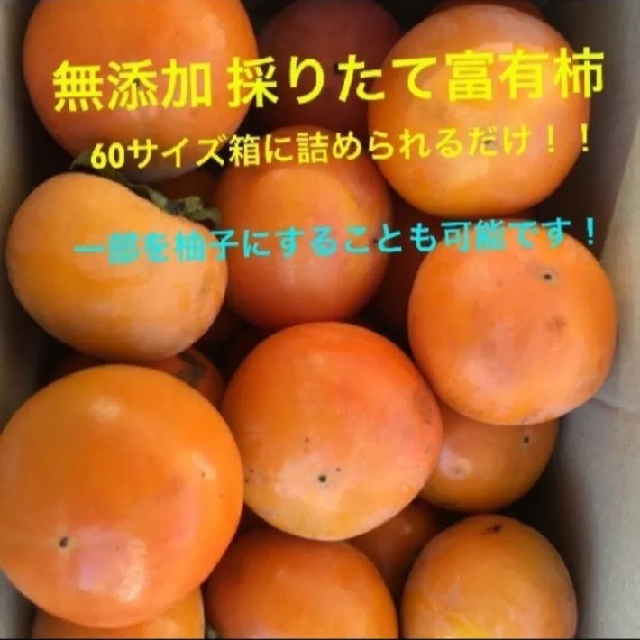 無農薬 富有柿 60サイズ箱いっぱい！ - メルカリ