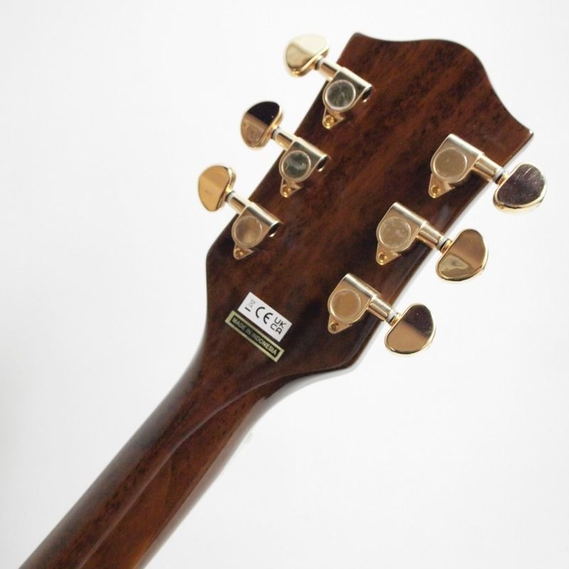 【Gretsch】G5034TFT Rancher　グレッチ Acoustic Guitar :: G5034TFT Rancher™, Fideli-Tron Pickup