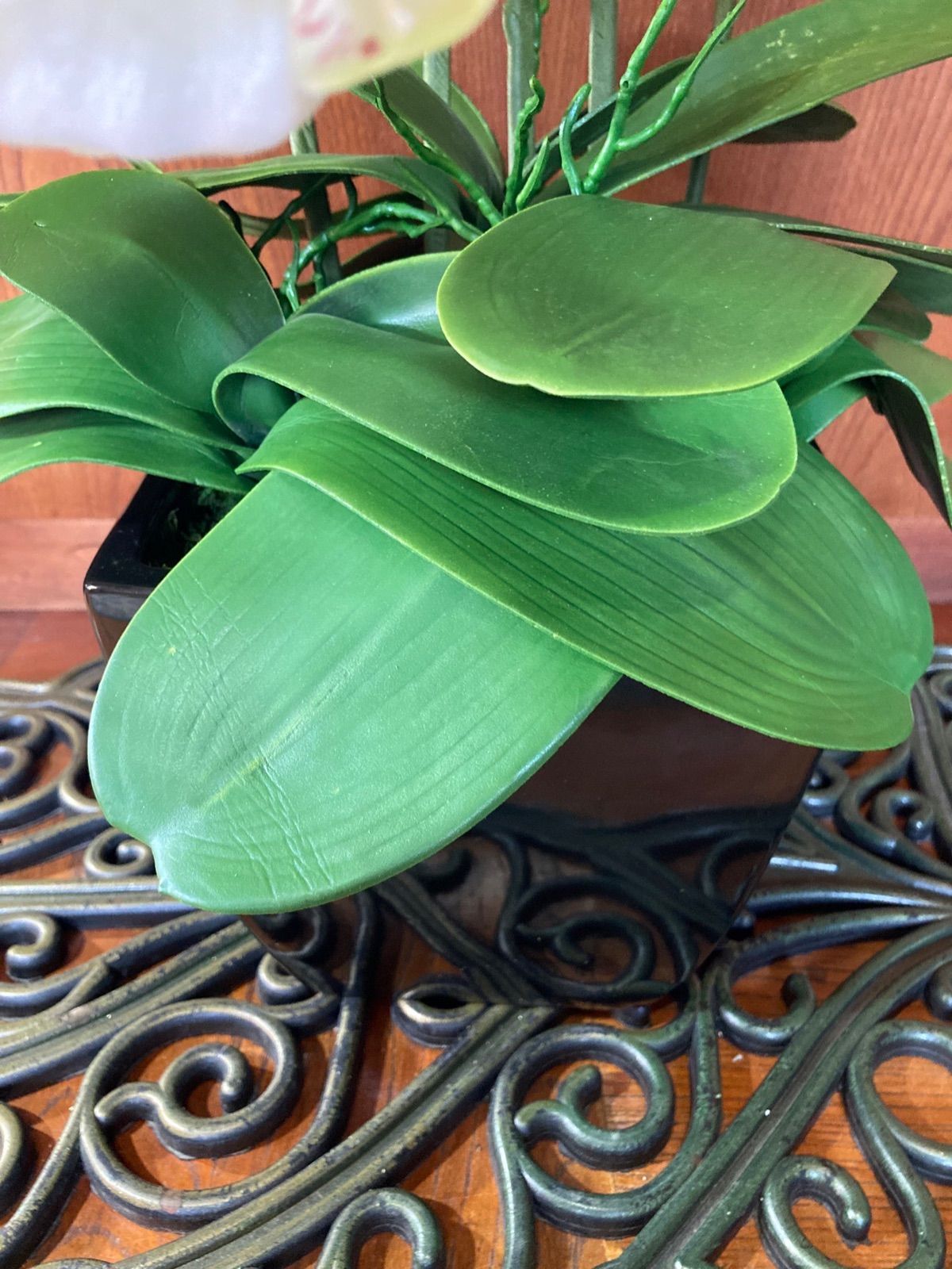 コレクション 光触媒 人工観葉植物 ウォールグリーン フェイクグリーン