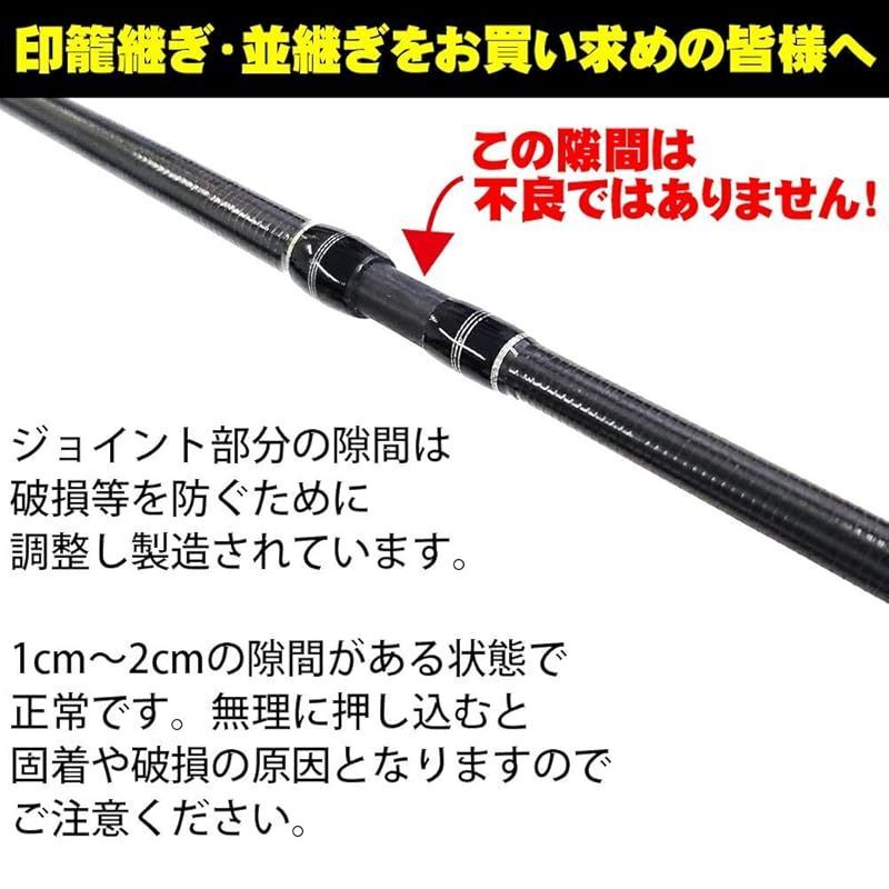 シーバス入門セット seabassset-010