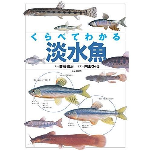最安値⭐︎ 囀る鳥は羽ばたかない 劇場版 前売り特典 A5クリアファイル